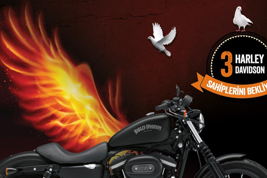 Harley Davidson marketing campaign artwork