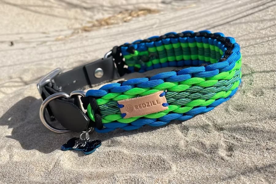 Redzill dog collar photographed on sand